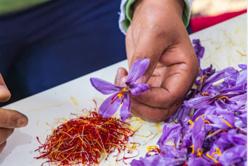Gold Saffron -Hand Harvested, 100% pure Thread